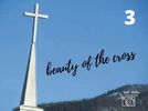 $30.00 - Matted Beauty of the Cross image 