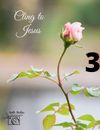 $30.00 ~ Cling to Jesus Matted Print 