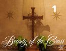 $50.00 - Matted Beauty of the Cross image Plus "So What?" CD