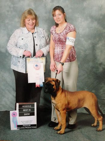 02/22/14 Jordy wins Reserve Best Puppy in Show
