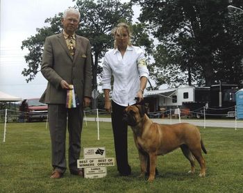 Sarnia Kennel Club, Sarnia, Canada. Stoli wins bitch class and BOW for her first points in Canada.
