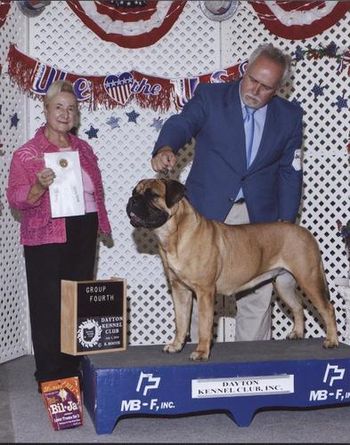 Lima Kennel Club, Lima, OH. Stoli wins Breed and then takes a Group 4.
