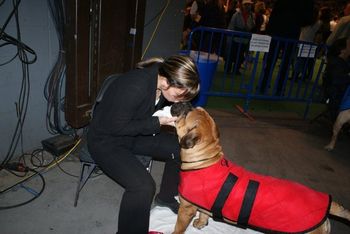 Westminter Kennel club 2010. A kiss for good luck!
