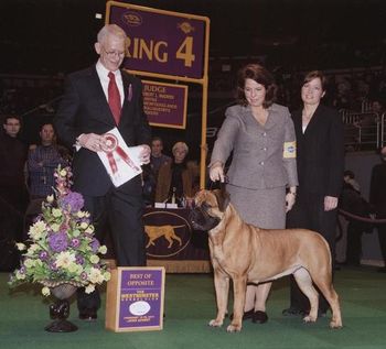 Westminster Kennel Club 2010 Show Photo.
