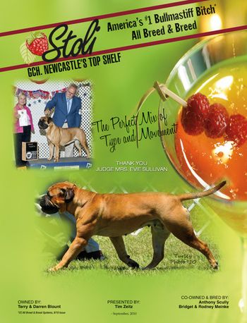 Stoli's Ad in Canine Chronicle September 2010. She is ranked the #1 Bitch.
