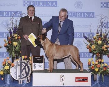 03/07/2010 Detroit Kennel Club, Detroit, MI. Stoli takes Best of Breed and a Working Group 3. Shown by Tim Zeitz.
