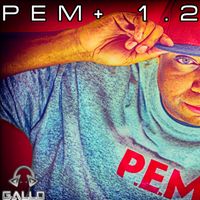 PEM 1.2 by Gallo