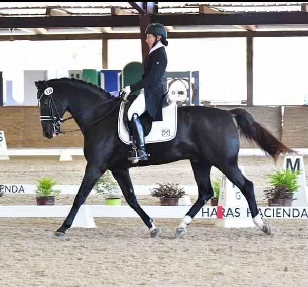 Congrats to Stefni & Huckleberry winning at their PSG AA debut!
