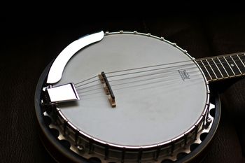 (02/04/14) This is just a fun instrument. It is a Dean Backwoods 6 string Banjo. It is tuned and strung like a normal guitar so all the chords and scales work on it. Very cool to hear how ideas and riffs sound on a Banjo. I have yet to record it but will be using it to layer parts at some point.
