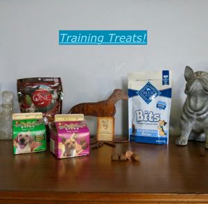 Hollywood stars dog treats yogurt flavor sale