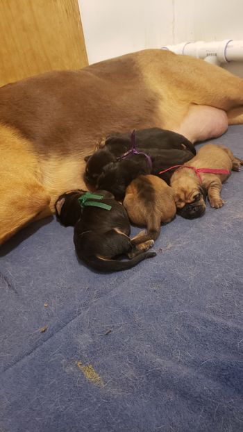 3 days old  3/8/21
