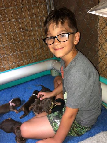 Our grandson, Wyatt, keeping an eye on this litter, while we are busy with delivery of another! 6/30/18
