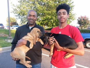 Brown Ribbon Male and Red Ribbon Male, meeting their new family in Raleigh, North Carolina - new dad is a professor and heart doctor at Duke University! 8/28/15
