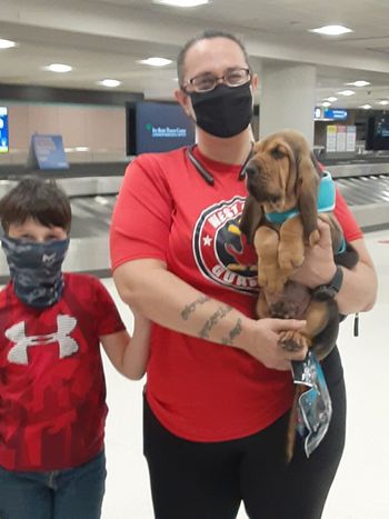 Red/white male with his new owners in Az 11/7/20
