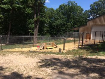 July 2017 - puppy oustide play and viewing area

