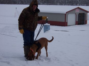 Doc and Dovie getting ready for their trailing practice in Indiana 12/5/10
