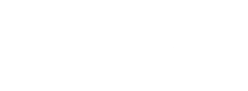 the Big Al Wetzel Band