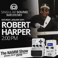 ROBERT HARPER at Singular Sound 2019