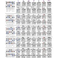 CAGED Chord and Scale System For The Guitar
