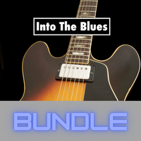 Into The Blues, Vol. 1-7 