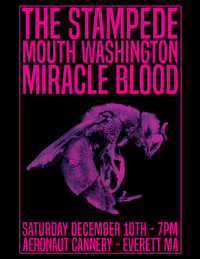 The Stampede ft. Miracle Blood and Mouth Washington @ Aeronaut Cannery