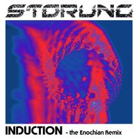 Störung  - Induction (CD)