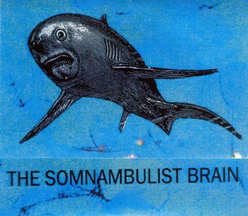 Andrew Dudek & Will Ridenour - The Somnambulist Brain (2004)
