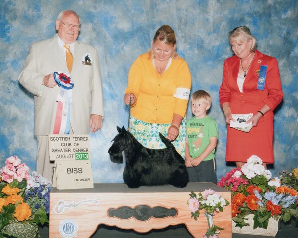 Rita shown going Best In Specialty Show at the Scottish Terrier Club of Greater Denver. Rita is currently the #2 Scottie in America.