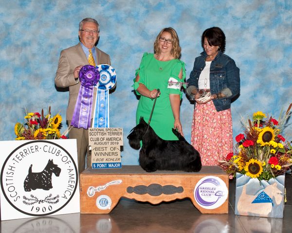 Porsche finishing in style as she goes Winners Bitch and Best of Winners at the Scottish Terrier Club of America National Specialty Rotating