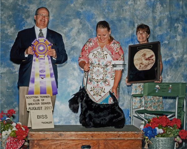 Blake winning the STCGD Specialty in Aug 2017 with Whitney!