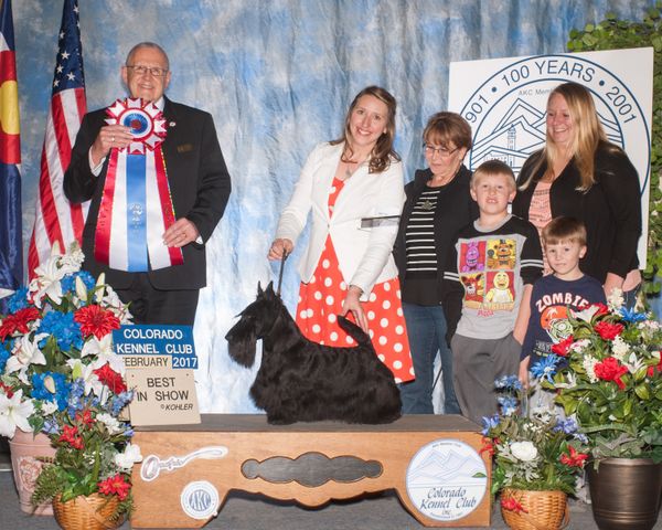 "Blake" winning Chyscott's first All Breed BIS Feb. 2017 under breeder judge Merle Taylor. This was Blake's first weekend out as a special. He won a Gr. 3 at the Rocky Mtn. All Terrier Show, then took back to back Gr 1's and then finished it off with the Best!