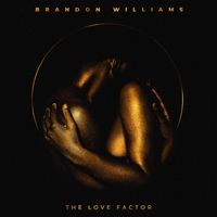 The Love Factor by Brandon Williams