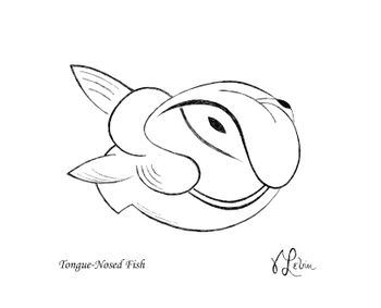 Tongue-Nosed Fish
