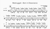 Meshuggah - Born In Dissonance - PDF Drum Transcripts by Troy Wright