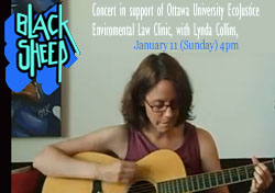 Lynda Collins with special guests Allyson Rogers and Larry Pegg for benefit performances at the Black Sheep Inn on at 4pm January 11 2015 supporting www.EcoJustice.ca