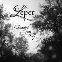 Beautiful Gray Day by Leper