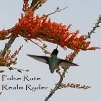 Pulse Rate by Realm Ryder