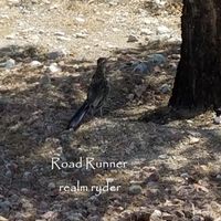 Road Runner by Realm Ryder