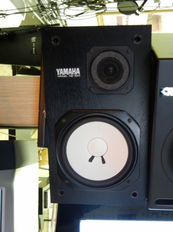 A Pair of Yamaha ns-10's (studio monitors)
